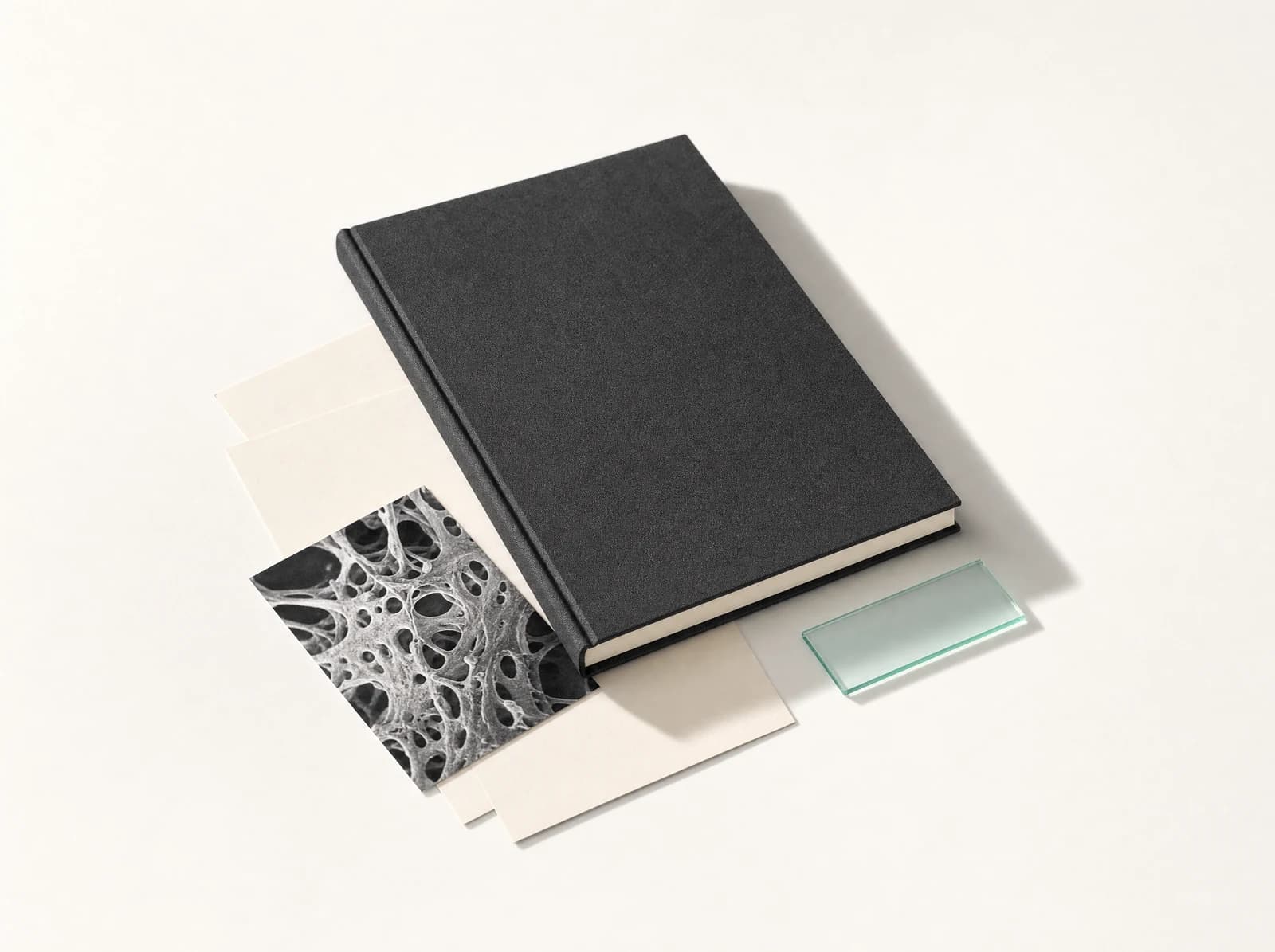 A charcoal scientific journal, ivory papers, a monochrome microscopy image, and a mint glass slide.